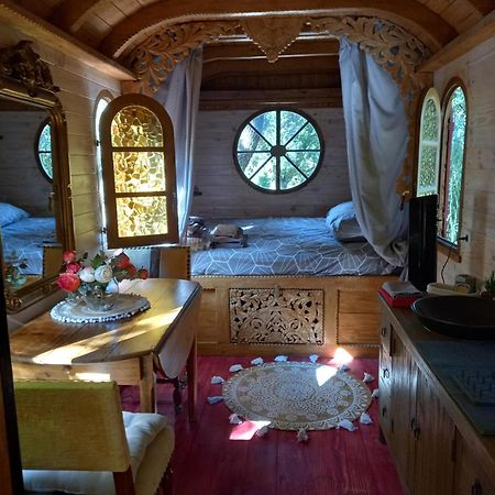 La Roulotte Du Petit Paradis Saint-Remy-de-Provence Bagian luar foto