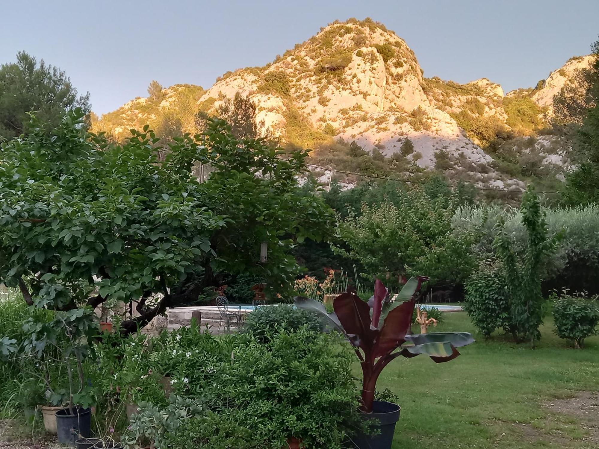La Roulotte Du Petit Paradis Saint-Remy-de-Provence Bagian luar foto