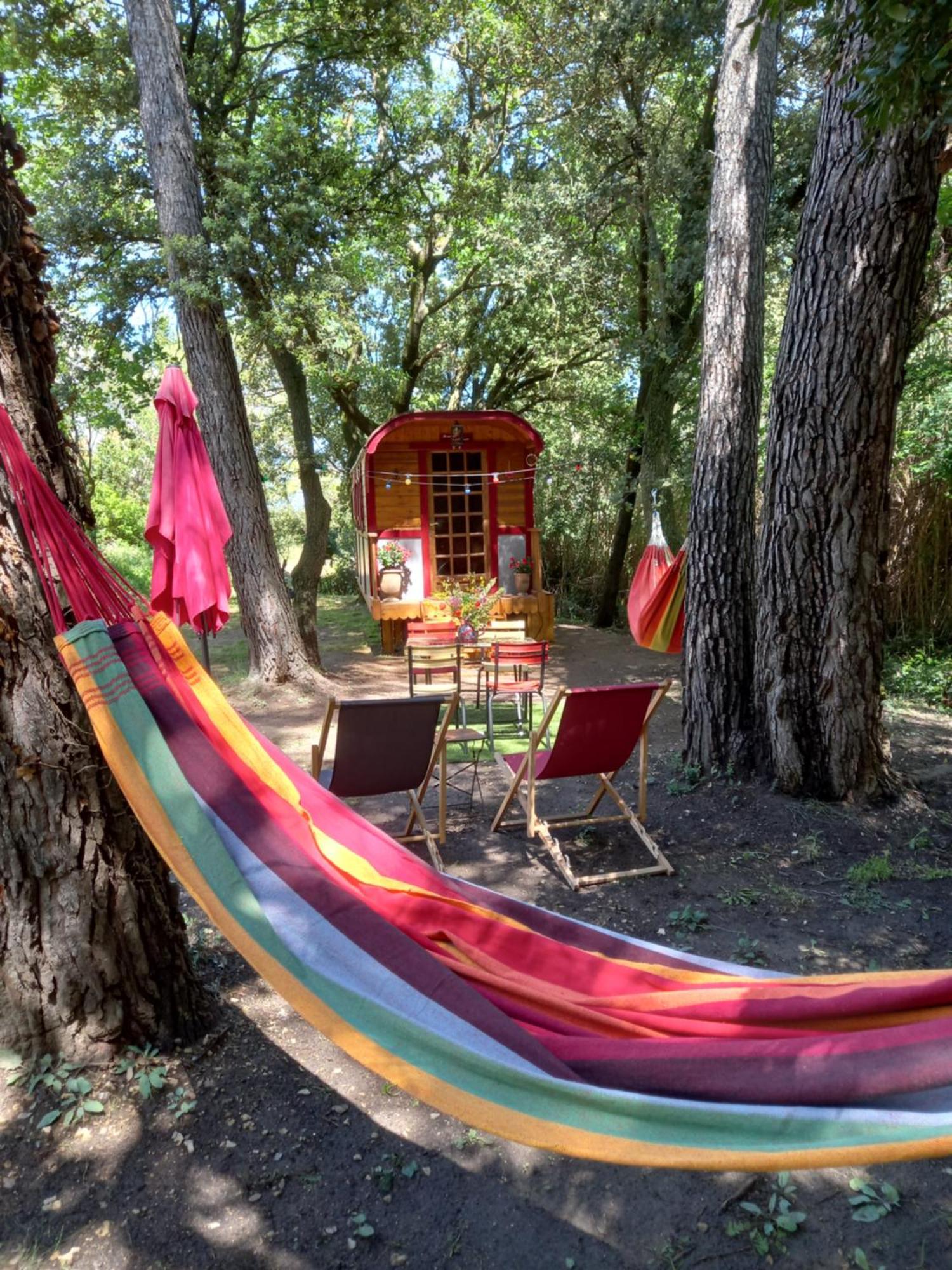 La Roulotte Du Petit Paradis Saint-Remy-de-Provence Bagian luar foto