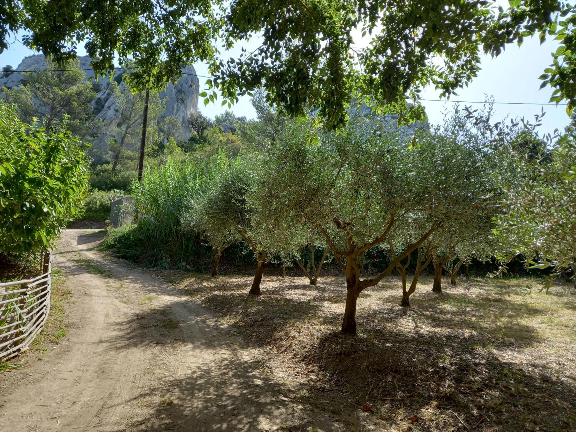 La Roulotte Du Petit Paradis Saint-Remy-de-Provence Bagian luar foto